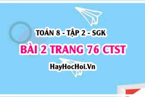 Bài 2 trang 76 Toán 8 Tập 2 Chân trời sáng tạo